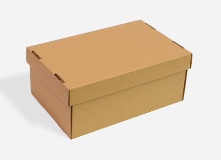 inestable Mathis Colapso Caja de carton con tapa - Ricardo Arriaga - Rapack - Cajas de Carton Baratas  - Cajas Carton